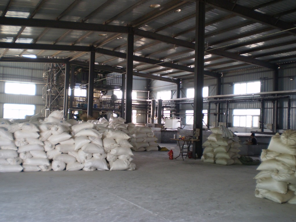 Cellulose production hall