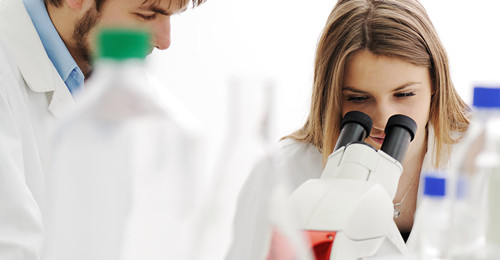 Sodium Carboxymethy Cellulose Used in Food Industry