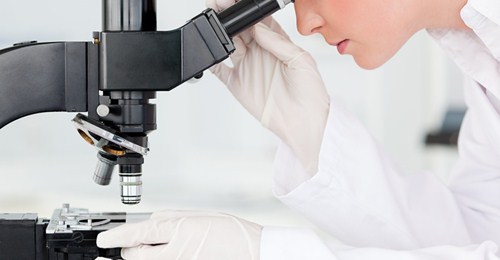 Guidance for Making Sodium Carboxymethyl Cellulose Solution